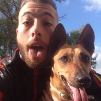 Ronny Amico