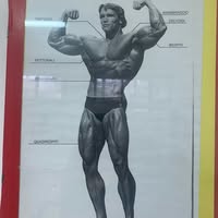 Antonio Pizzaa