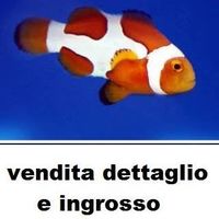 Antonio Buonocore