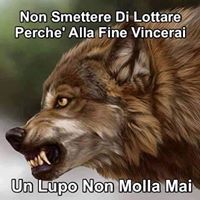 Bartolo Mostaccio