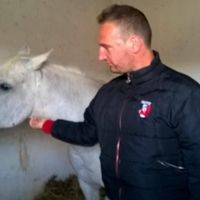 Vito Lo Giudice