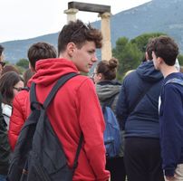 Domenico Moliterni