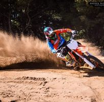 Alby Cavallaro