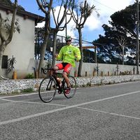 Andrea Catalfamo